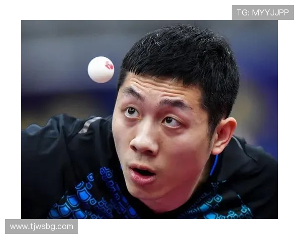 成都羽毛球队在总决赛积分榜上以73分稳居第一名展现强劲实力